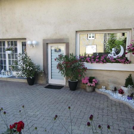 La Belle Endormie - Appartement A Fenetrange 外观 照片