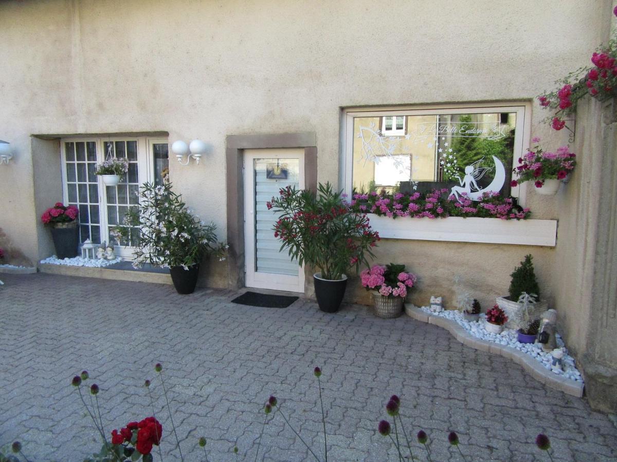 La Belle Endormie - Appartement A Fenetrange 外观 照片